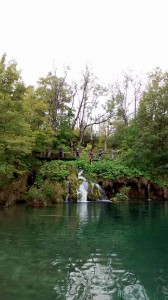Slika  (1)